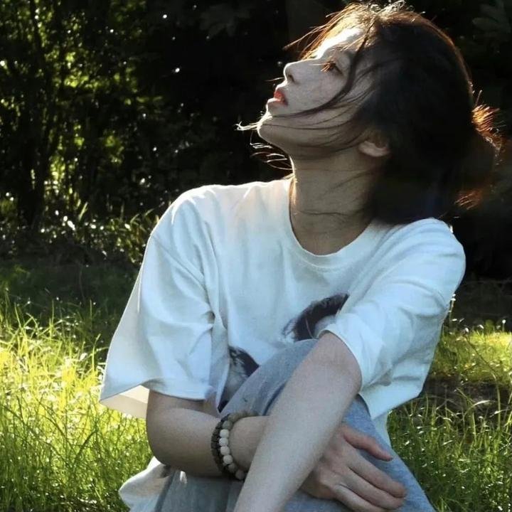 戴洛奇小镇第一季